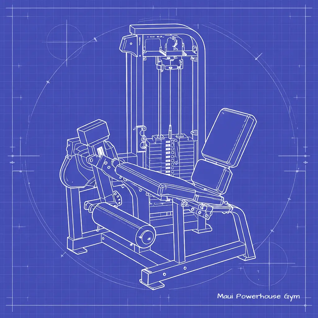 Weight Room Leg Extension Lower Body Machine in Maui Powerhouse Gym