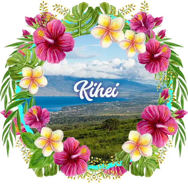 Best Gym Kihei Maui Hawaii' banner showing the aerial view of Kihei framed in Hibiscus Garland Design