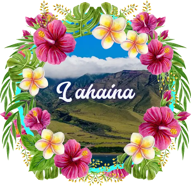 Best Gym Lahaina Maui Hawaii' banner showing the aerial view of a mountain range in Lahaina, framed in Hibiscus Garland Design