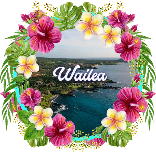 Best Gym near Wailea, Maui Hawaii' banner showing the aerial view of Wailea framed in Hibiscus Garland Design