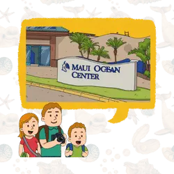 Rainy-day back up plans to visit Maui Ocean Center Kihei